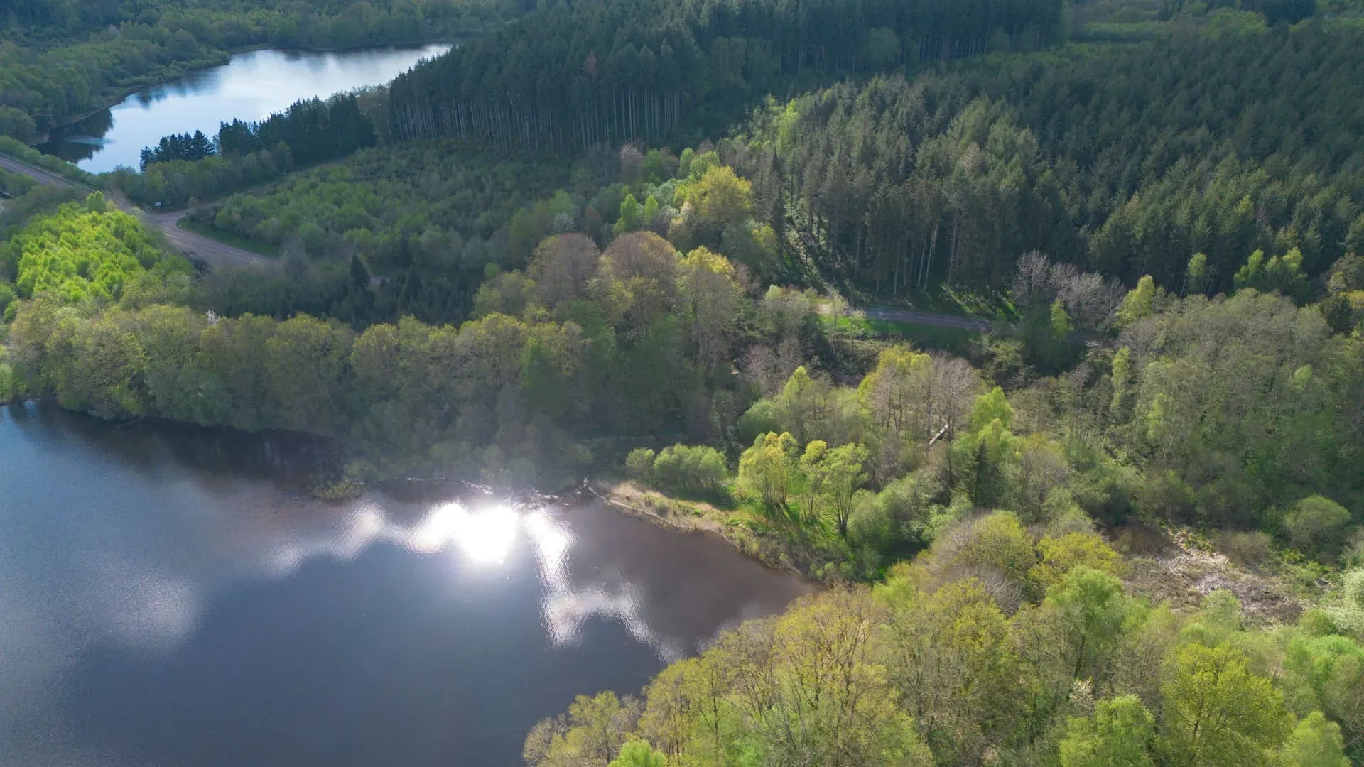 lac de la foret d'orient
